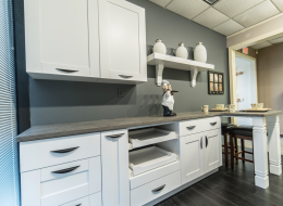 Anchester White Cabinets